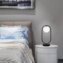 Modern Retro Opaque Globe Black Table Lamp H3008