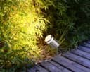 Garden Outdoor Spike Light Stainless Steel Clear Diffuser IP65 Ground Pathway Lighting 240v ZLC352