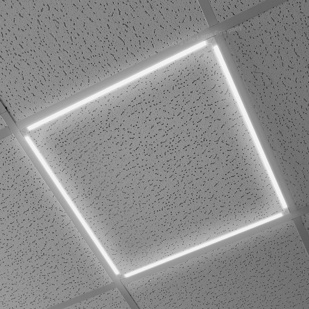 40w LED Edge Lit Border Panel Recessed Suspended Ceiling Frame Panel 600 x 600 Cool White AP01-40CW