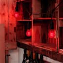 6W LED RED Light Bulb E27 Screw Cap Glass A60