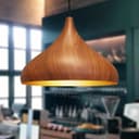 Modern Ceiling Pendant Dome Metal Wood Grain Finish Light H3063