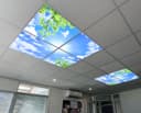 175W 4 Set Blue Sky LED Ceiling Recessed Panel 600 x 600 Sun Birds Cloud Sky Scene SKY03