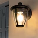 Outdoor Downward Wall Light Black Lantern Clear Diffuser IP44 ZLC381