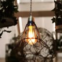 Vintage Bird Cage Pendant Antique Brass Opening and Closing Industrial Hanging Light With 40w E27