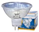 MR16 Halogen Light Bulb 7w Lamp