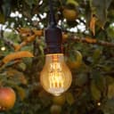 40w GLS Quad Loop Filament Vintage Cage Edison Screw E27 Screw Bulb