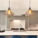 Modern Retro Ceiling Clear Glass Pendant Lamp H3021