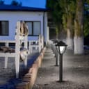 12W LED Bollard Outdoor Garden Light Stainless Steel Black Finish Cool White ZLC360BCW