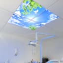 175W 4 Set Blue Sky LED Ceiling Recessed Panel 600 x 600 Sun Birds Cloud Sky Scene SKY03