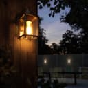 Glass Wall Lantern Outdoor Garden Wall Light Black Body Metal Luminaire ZLC082B