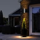 Stainless Steel Up and  Down Outdoor Wall Light IP65 Wall Light ZLC02