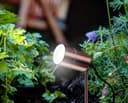 Outdoor Garden Spike Light Adjustable Stainless Steel Copper Finish ZLC306C