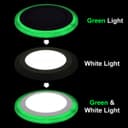 12w Round Recessed LED Ceiling Panel Light Dual Colour Cool White/Green Ring