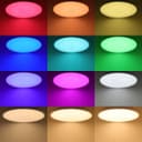 24W LED WiFi Ceiling Light with RGB App Control and Remote Smart Colour Changing WF03