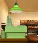 Green Ceiling Lamp Shade Pendant Light Industrial Chrome Lamp Holder Fitting H3046