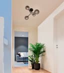 Modern Ceiling Light 4 Glass Globe Smoked Grey Lamp Shades H3059 with G9 LED 5w Warm White