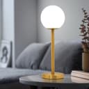 Art Deco Brass Table Lamp Frosted Globe Opaque Glass Shade H3117