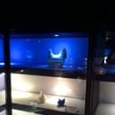  2 Pack LED GU10 Blue Light Bulb 5w with Blue Lens Diffuser