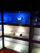 2w LED Blue Light Bulb Spot Lamp MR11