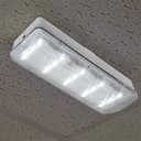 Glass Emergency LED Light Bulkhead with Green Man Fire Exit Sleeve Celling or Wall Mount EML01D