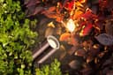 Outdoor Garden Spike Light Adjustable Stainless Steel Copper Finish ZLC306C