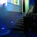 LED Brick Light LED Garden Wall Light Blue Colour Energy Saving ZLC10BLB 