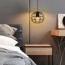 Wire Cage Globe Black Metal Pendant Light M0173