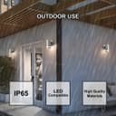 Single Outdoor Wall Light Stainless Steel ZLC351 Garden Light 