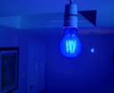 6W LED BLUE Light Bulb E27 Screw Cap Glass A60