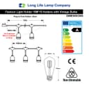 10 Bulb 10M Outdoor LED Festoon String Lights Coloured Vintage Bulbs