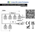 Outdoor or Indoor Mini Lantern 20 LED String Lights IP44 Mains Powered 6000K LANSL02