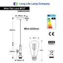 Industrial Pendant Light Rustic Metal Vintage Water Pipe Ceiling Light M0157 with 4W ST58