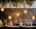 4w LED Extravagant Dome Vintage Light Bulb B22 Swirling Smoked Glass G125