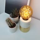 2w Vintage LED Globe Light Bulb E27 Clear Glass Tree Filament G95