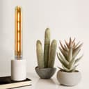 Retro Vintage LED 4w Test Tube Edison Style Filament Bulb Smoked Gold Glass T30 B22