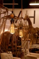 40w  Squirrel Cage Vintage Edison Style B22 Bayonet Bulb ST58