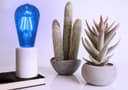 4w Blue LED Vintage Filament Light Bulb B22 Clear Glass ST58 Ambient Lighting 