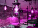4w Purple LED Vintage Filament Light B22 Clear Glass ST58 Ambient Lighting 